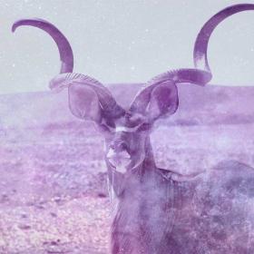 Kudu / Nyala / Eland Symbolism