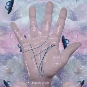 Palmistry Basic Guide Hands And Lines of Palmistry