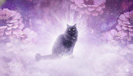 black cat dream meaning