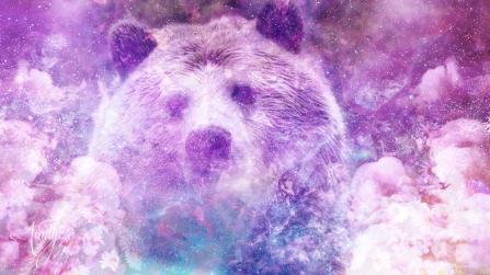 Dream meanings Bear