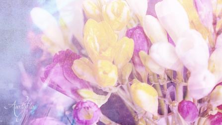 Freesia Meaning