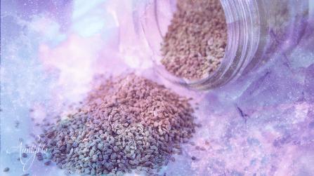 Celery Seed