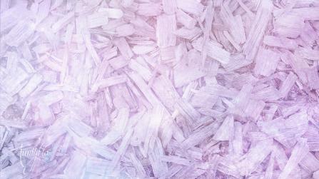 Queen Elizabeth root, whole