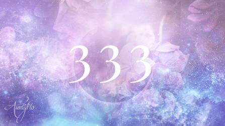 what does 333 mean?