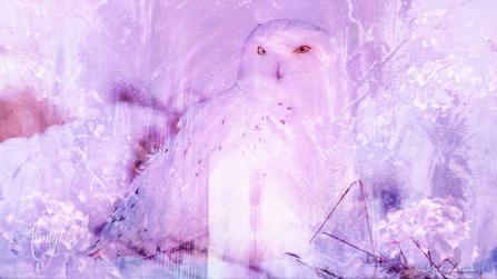 Owl Hooting Spiritual Meaning