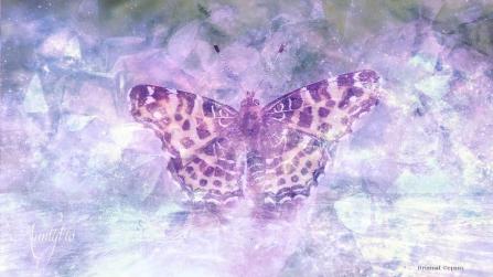 yellow butterfly meaning