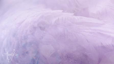 Feather superstition meaning