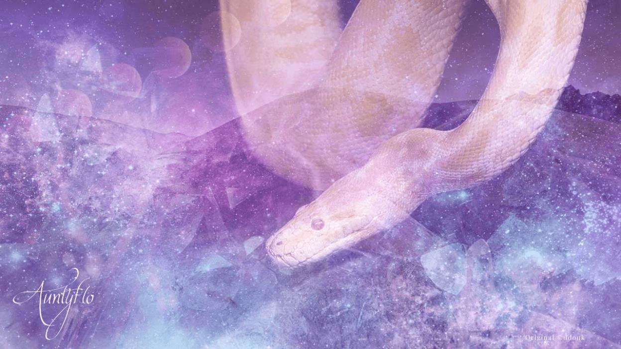 Python Snake Dream Dictionary: Interpret Now! - Auntyflo.com