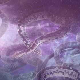 snake in dream meaning download free