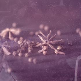 The caraway plant is a biennial herb that grows throughout 