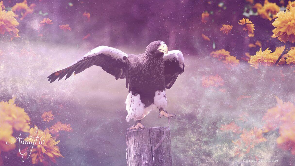 flying eagle magi astrology