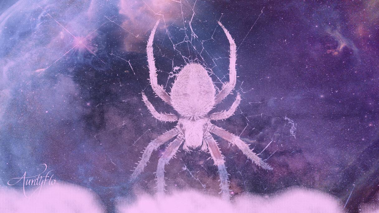spider dream meaning download
