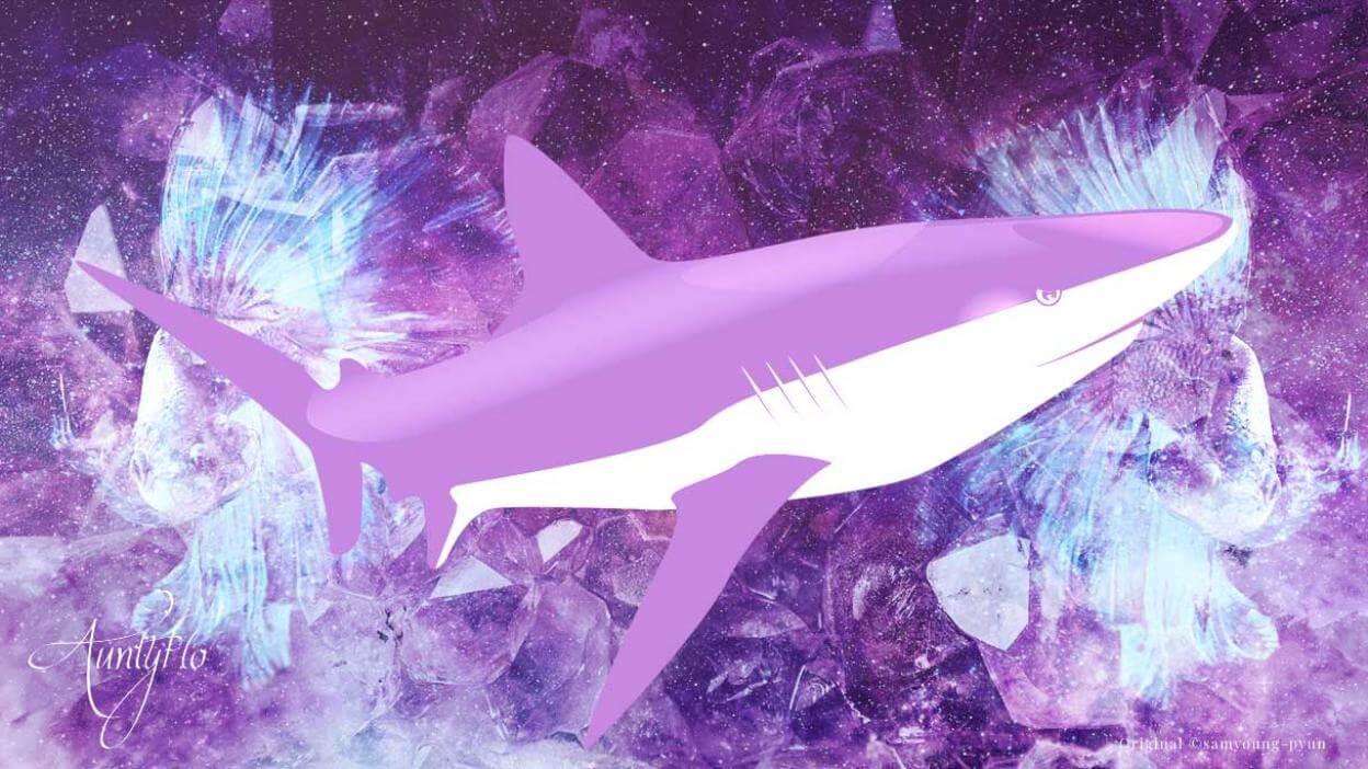 Shark Dream Meaning & Iinterpretation