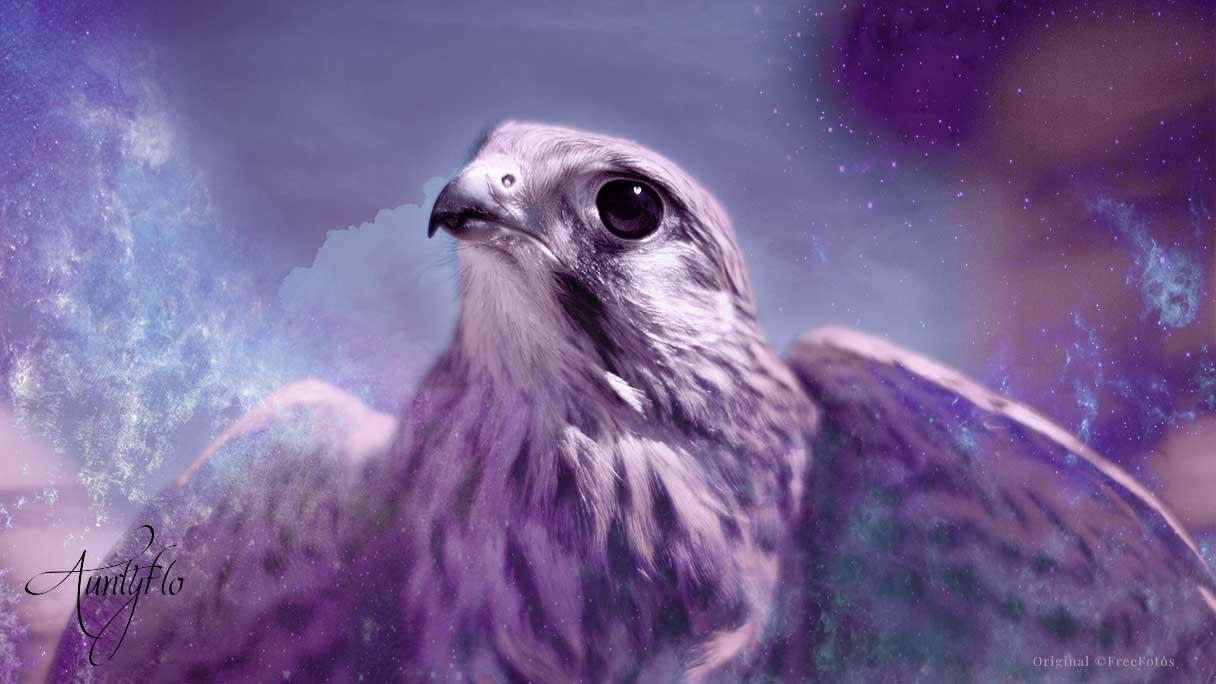 Hawk Symbolism & Spiritual Meanings Of Hawk Spirit Animal