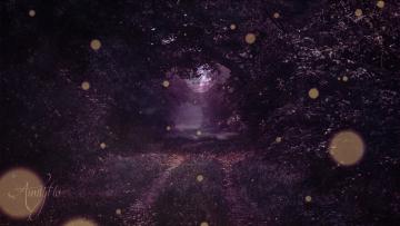 Meaning of insects in a dream