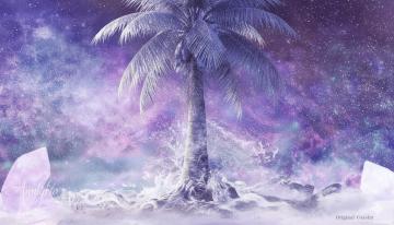 Coconut Dream Meaning