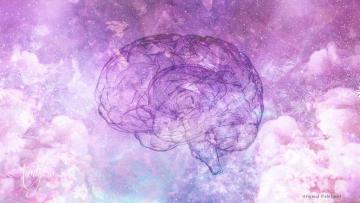 Brain Dream Dictionary: Interpret Now! - Auntyflo.com