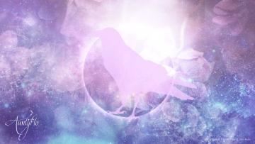 Crow Dream Meaning And Interpretation | Auntyflo.com