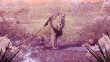 Dream interpretation lion attack