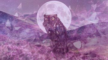 Spiritual Meaning of Owls