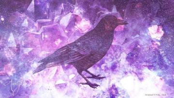 crow spiritual meaning
